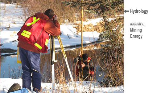 AMS Bear Den Surveys